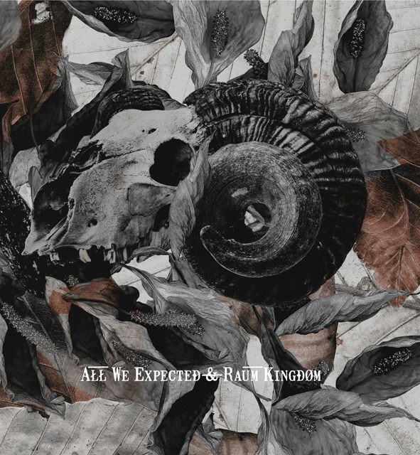 All we Expected /Raw Kingdom